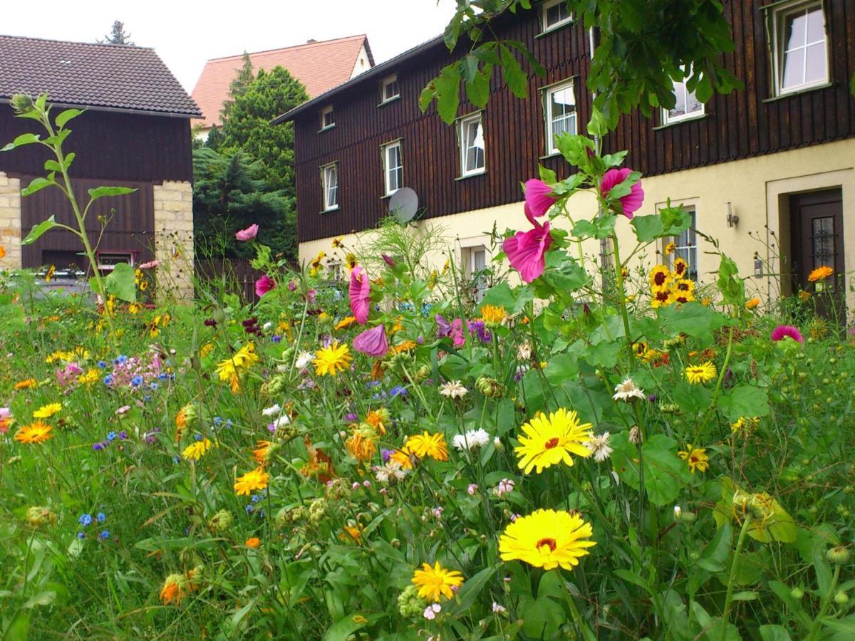 Comfy Apartment In Weissig With Garden Стая снимка